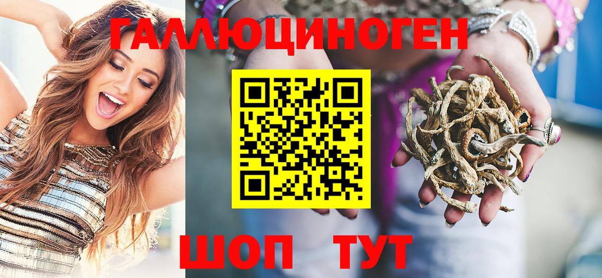 купить наркотики цена  Галлюциногенные грибы мухоморы  Вход с VPN  Елизово  Псилоцибиновые грибы Magic Shrooms 